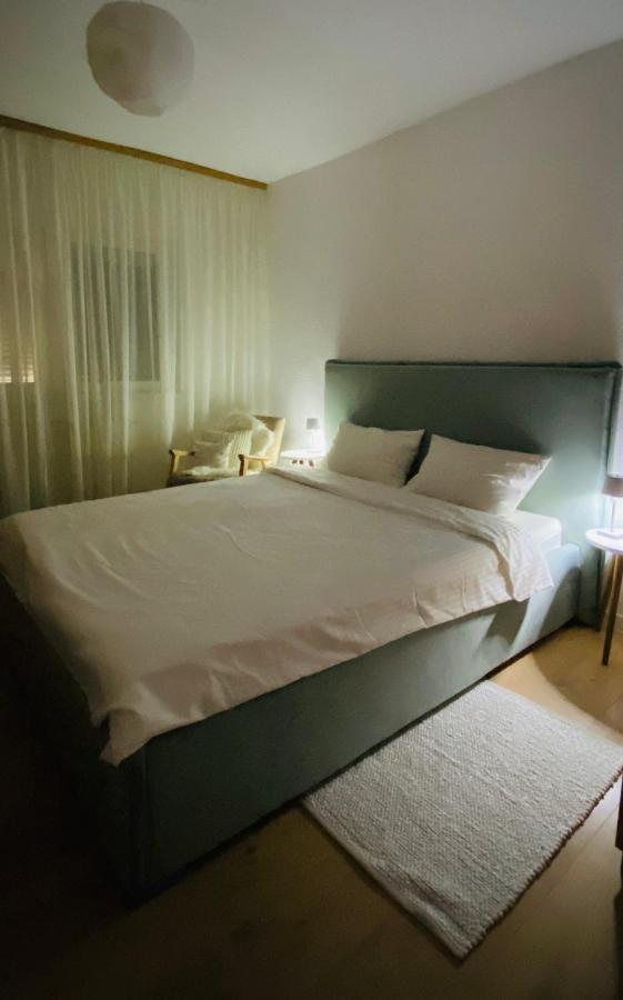 Cozy Apartment Sibiu Bagian luar foto
