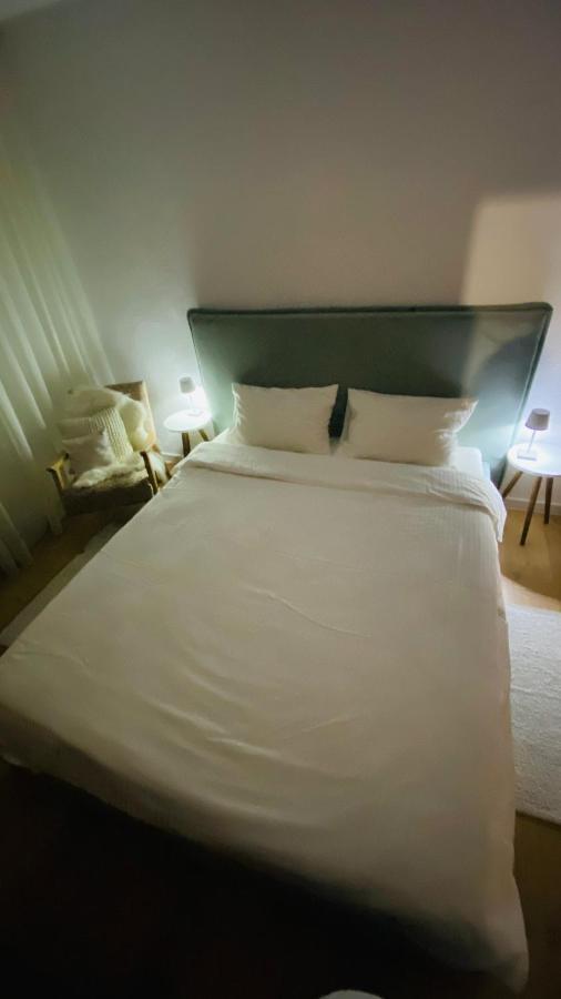 Cozy Apartment Sibiu Bagian luar foto